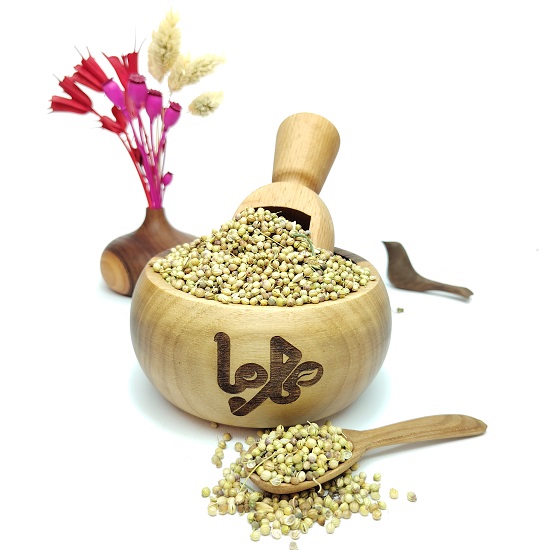 بذر گشنیز